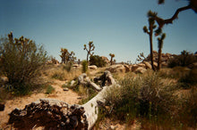 Ilford IlfoColor Rapid Disposable Camera, 27 EXP, ISO 400 Single Use W/ Flash (Develop by 02/25)