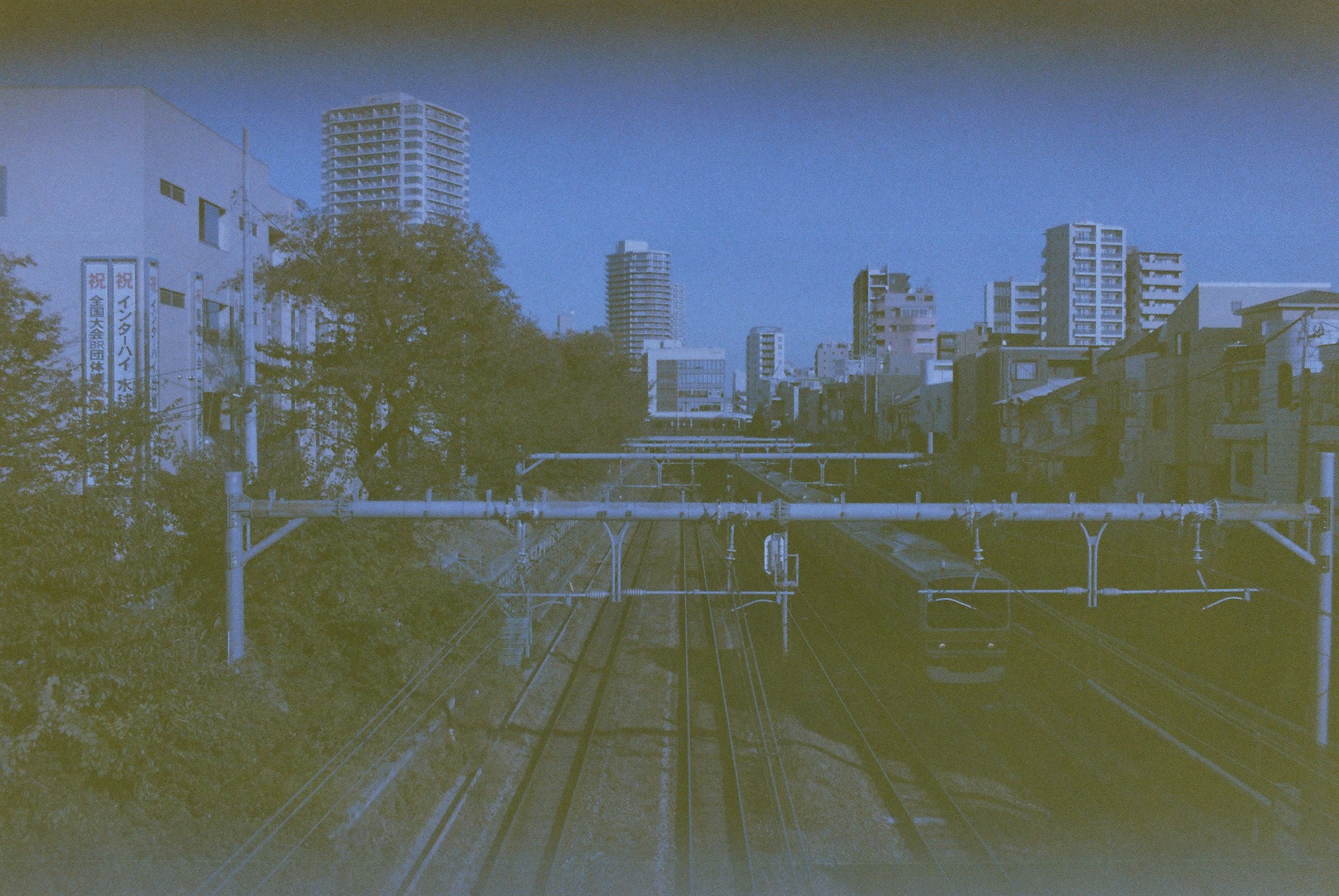 expired 35mm film photos